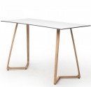 Ürituse laud alumiiniumist tamme värvi raamiga ja valget värvi lauaplaadiga.