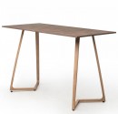 Party table with aluminium frame in Oak color and with tabletop in rust color 