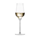 Champagne glass filled with sparkling wine, featuring an elegant, modern shape with a long stem. Suitable for restaurants.